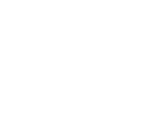 police icon