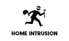 Icon regarding home intrusion alarm