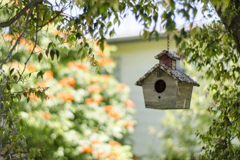 How to Disguise a Security Camera - One option is a birdhouse