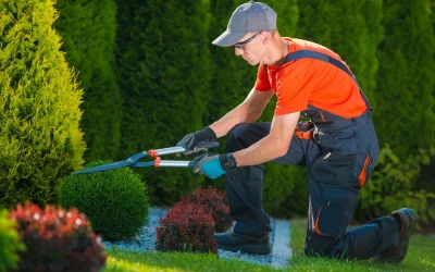 How to Landscape Your Home to Help Prevent Burglaries