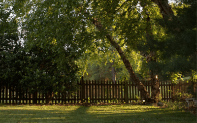Backyard Security: Keeping Your Yard Safe from Intruders