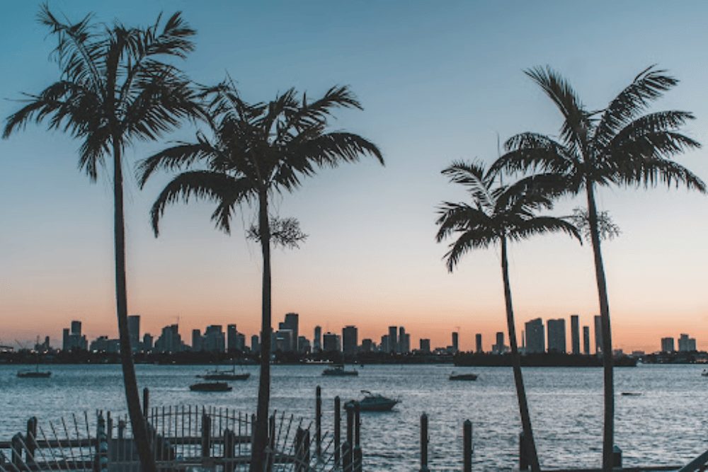 Safest Cities in Florida - 1000x667 Bolt Cutter-Proof Locks and Padlocks