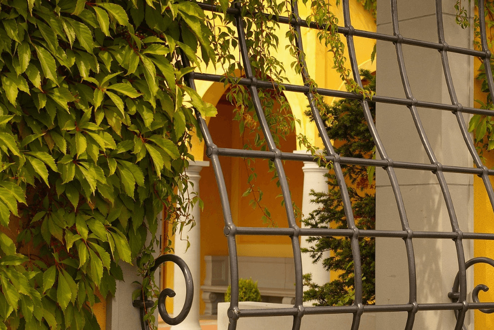 Window Security Bar Installation Bolt Cutter-Proof Locks and Padlocks