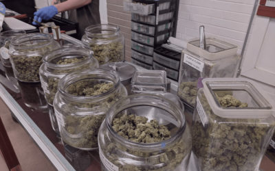 Dispensary Security Solutions: Why Traditional Methods Don’t Cut It