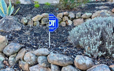 Why ADT Is Half as Good as Deep Sentinel