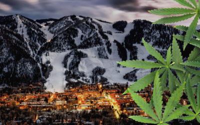 Starting a Cannabis Business in Colorado