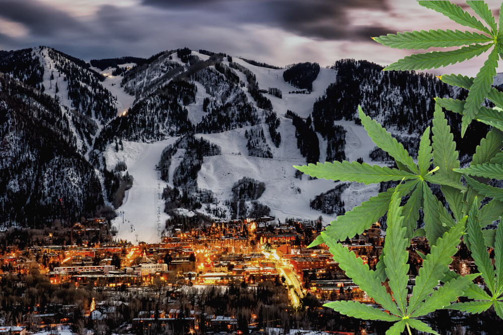 Starting a Cannabis Business in Colorado