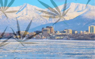 Starting a Cannabis Business in Alaska