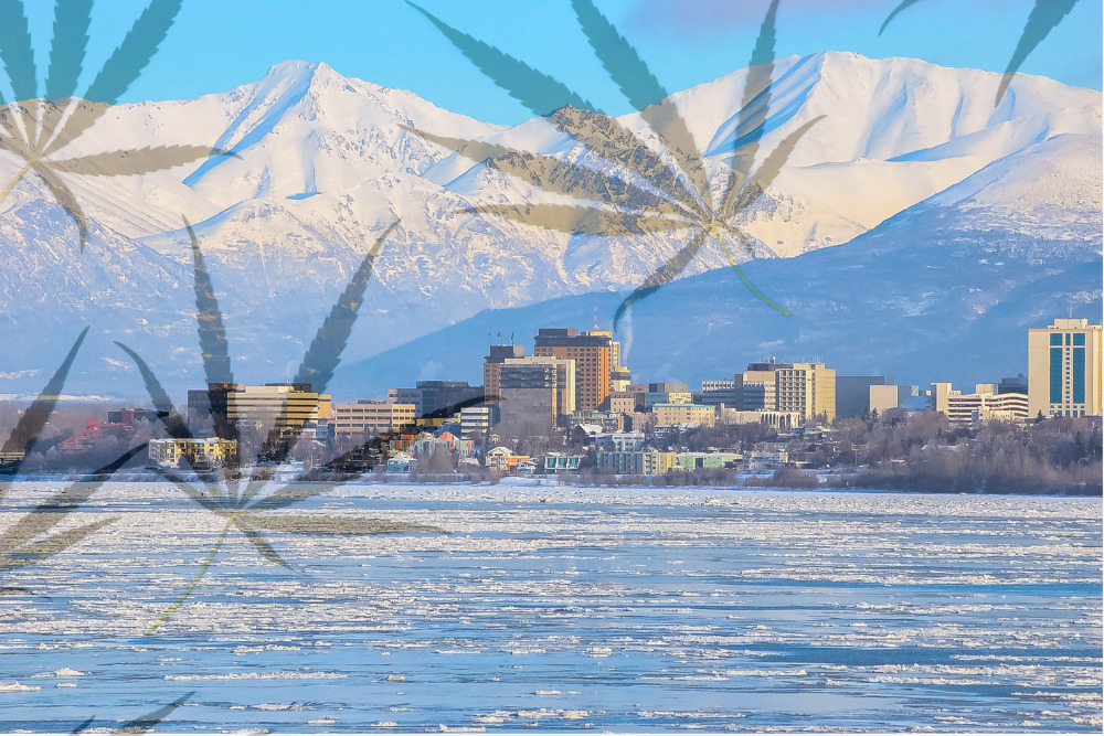 Starting a Cannabis Business in Alaska