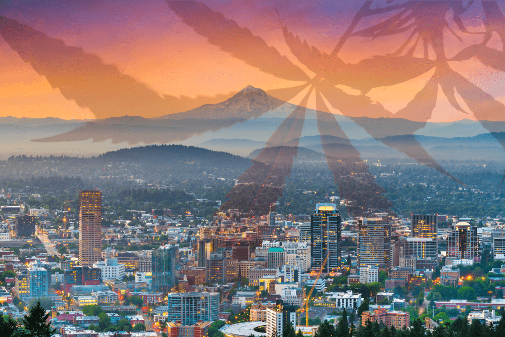 Starting a Cannabis Business in Oregon - 1000x667 Starting a Cannabis Business in Alaska