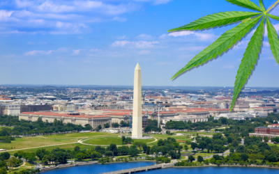Starting a Cannabis Business in Washington DC