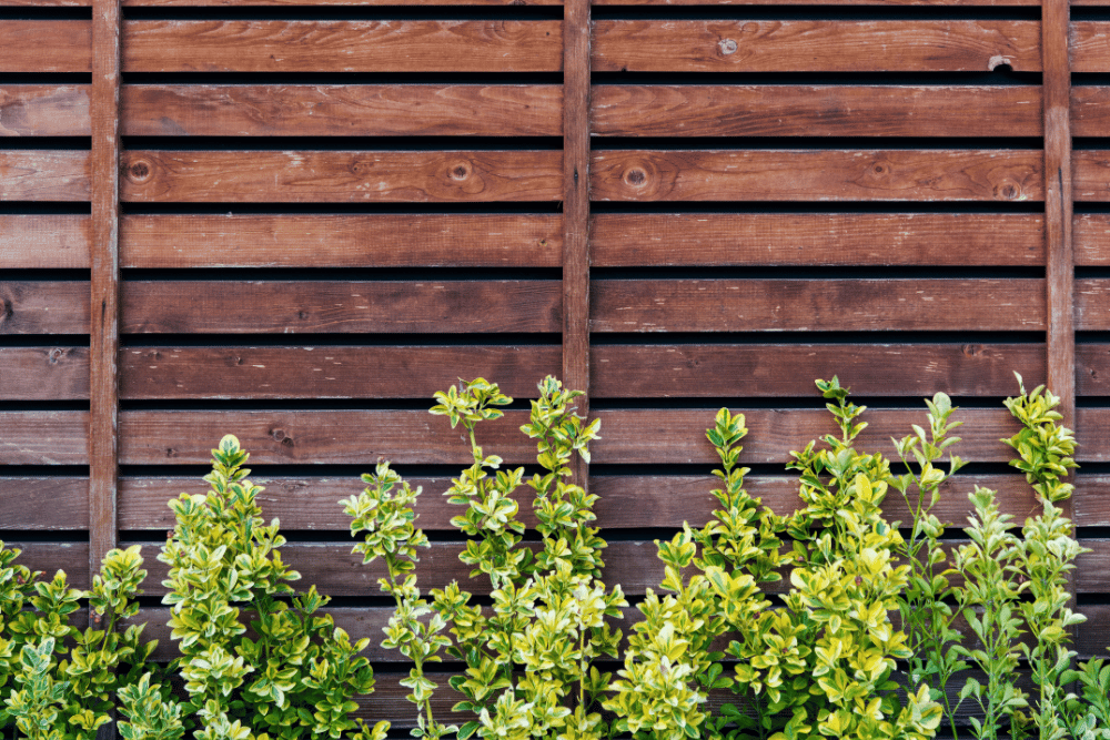 Fence Contractor Near Me