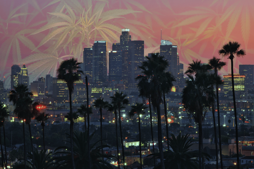 Starting a Cannabis Business in California Starting a Cannabis Business in California