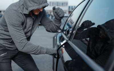 Car Theft in the United States