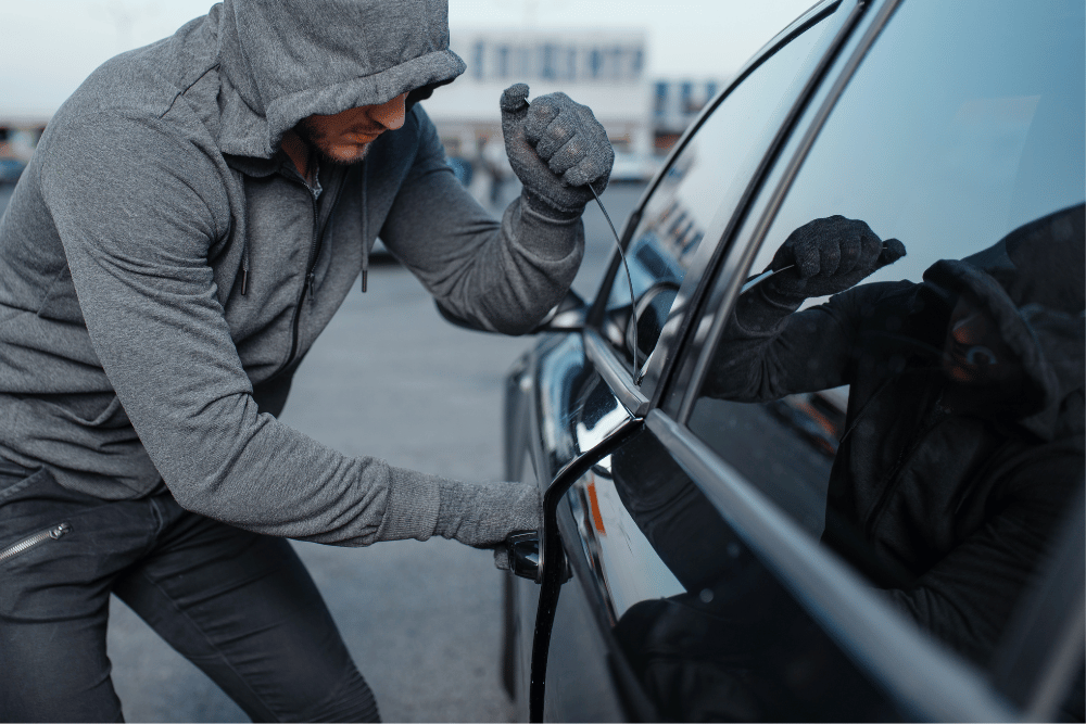 Car Theft in the United States