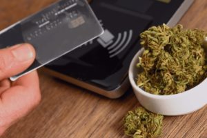 How to Start a Cannabis Business