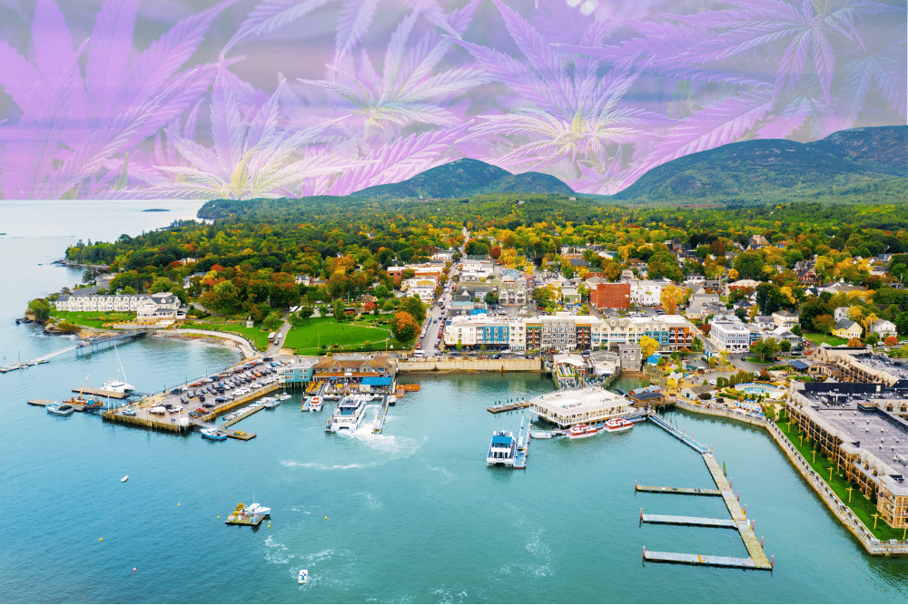 Starting a Cannabis Business in Maine Starting a Cannabis Business in Maine