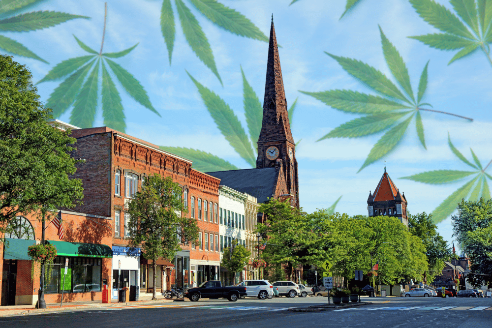 Starting a Cannabis Business in Massachusetts Starting a Cannabis Business in Massachusetts