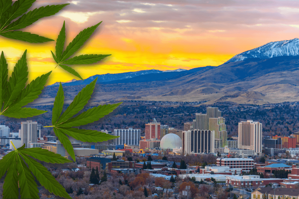 Starting a Cannabis Business in Nevada