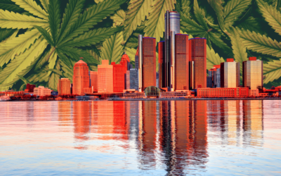 Starting a Cannabis Business in Michigan