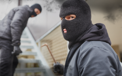 The Epidemic of Smash-and-Grab Robberies