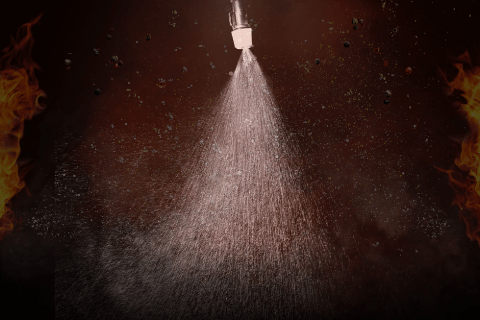 How Does Pepper Spray Work? Deep Sentinel