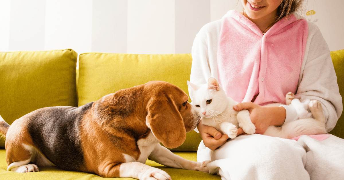 Apartment amenities that renters want Reasonable Care