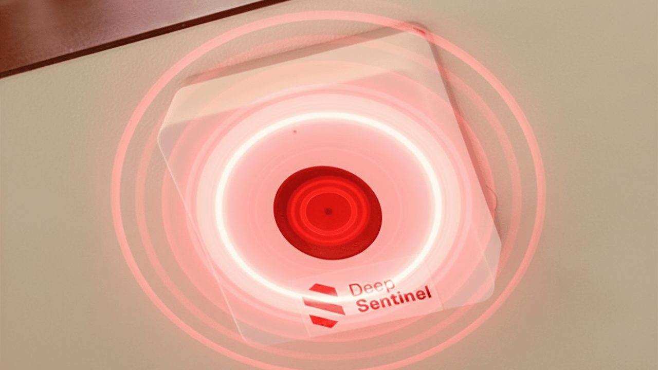 sentinel_now_vibrant Deep Sentinel