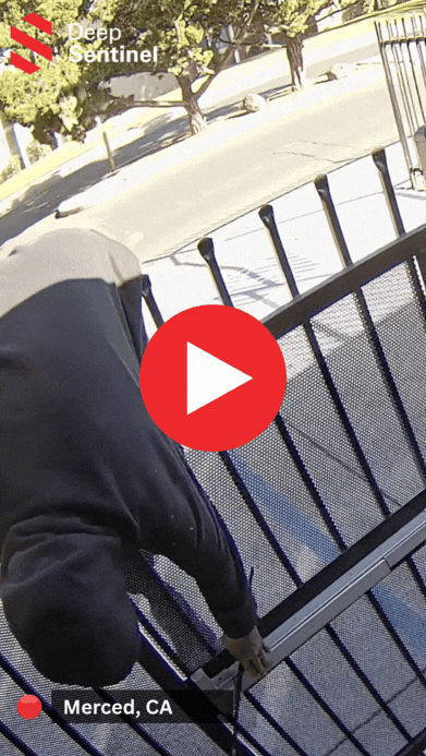 pedestrian_gate_email_play (1) on-demand security